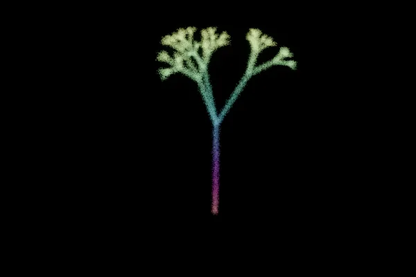coral — a point cloud