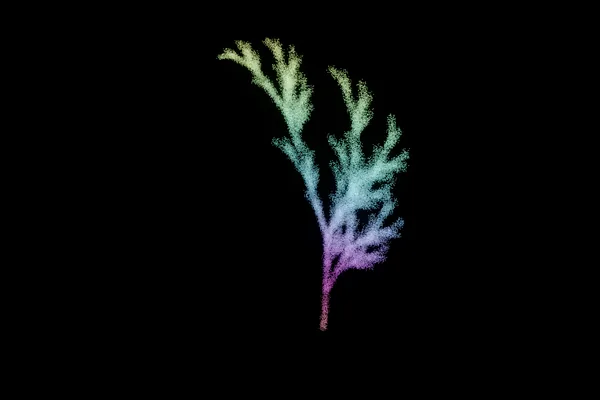 fern — a point cloud