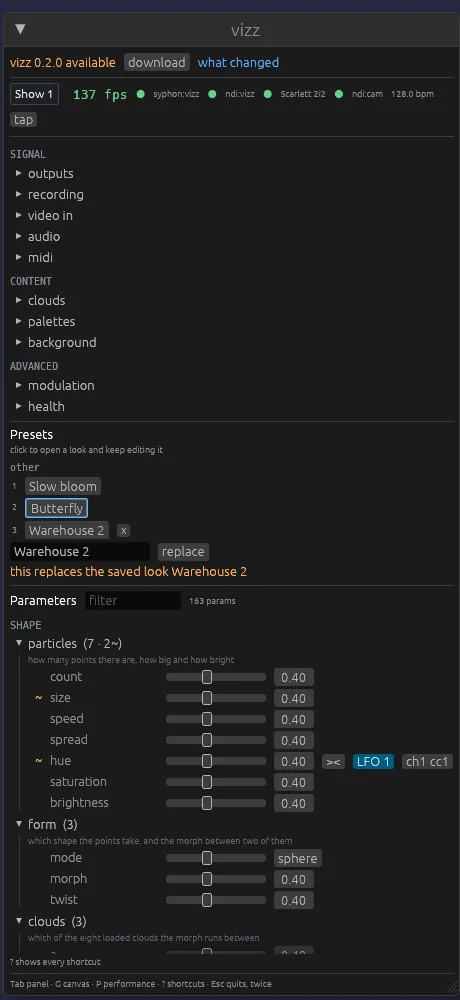 The vizz control panel: status line, collapsible sections, preset list and grouped parameter sliders.